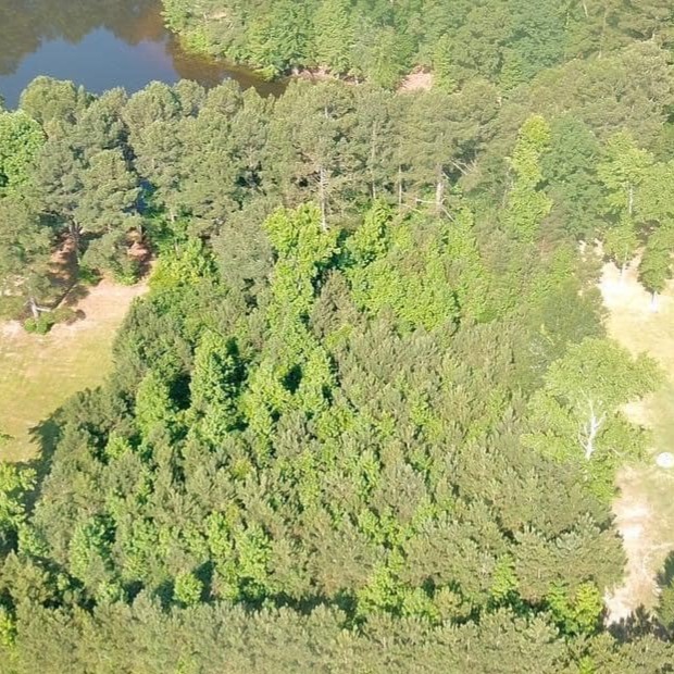 Homeowner Lot Clearing & Landscaping Prep - Before